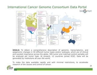 International Cancer Genome Consortium Data Portal
        CANADA                                              EU / UNITED
        Pancreatic cancer                                   KINGDOM
        (Ductal adenocarcinoma)                             Breast cancer
        Prostate cancer                                     (ER positive, HER2 negative)
        (Adenocarcinoma)
                                                                                            GERMANY
        UNITED STATES                                        UNITED                        Malignant lymphoma
        Bladder cancer                                       KINGDOM                       (Germinal center B-cell
                                                                                           derived lymphomas)
        Blood cancer                                        Bone cancer                    Pediatric brain tumors
        (Acute myeloid leukemia)                            (Osteosarcoma/                 (Medulloblastoma and
        Brain cancer                                        chondrosarcoma/                Pediatric pilocytic
        (Glioblastoma multiforme/                           rare subtypes)                  astrocytoma)                 CHINA
        lower grade glioma)                                 Breast cancer
        Breast cancer                                       (Triple negative/lobular/
                                                                                           Prostate cancer               Gastric cancer
                                                                                                                         (Intestinal- and di use-type)
                                                                                                                                                         JAPAN
                                                                                           (Early onset)
        (Ductal & lobular)                                  other)                                                                                       Liver cancer
        Cervical cancer                                     Chronic Myeloid Disorders                                                                    (Hepatocellular carcinoma)
        (Squamous)                                          (Myelodysplastic syndromes,                                                                  (Virus-associated)
        Colon cancer                                        myeloproliferative neoplasms
        (Adenocarcinoma)                                     and other chronic myeloid
        Endometrial cancer                                  malignancies)
        (Uterine corpus endometrial                         Esophageal cancer
         carcinoma)                                         Prostate cancer
        Gastric cancer
        (Adenocarcinoma)
        Head and neck cancer                                 EU / FRANCE
        (Squamous cell carcinoma/                           Renal cancer
        Thyroid carcinoma)                                  (Renal cell carcinoma)
        Renal cancer                                        (Focus on but not limited
        (Renal clear cell carcinoma/                         to clear cell subtype)
        Renal papillary carcinoma)
        Liver cancer                                                                       ITALY                                                         AUSTRALIA
        (Hepatocellular carcinoma)
        Lung cancer
                                                             FRANCE                        Rare pancreatic tumors
                                                                                           (Enteropancreatic endocrine   INDIA                           Ovarian cancer
                                                            Breast cancer                                                                                (Serous cystadenocarcinoma)
        (Adenocarcinoma/                                                                   tumors and rare pancreatic    Oral cancer
                                                            (Subtype de ned by an                                                                        Pancreatic cancer
        squamous cell carcinoma)                                                           exocrine tumors)              (Gingivobuccal)
                                                            ampli cation of the                                                                          (Ductal adenocarcinoma)
        Ovarian cancer                                                                                                                                   Prostate cancer
        (Serous cystadenocarcinoma)    MEXICO               HER2 gene)
                                                            Liver cancer
        Prostate cancer
        (Adenocarcinoma)
                                       Multiple sub-types   (Hepatocellular carcinoma)     SPAIN
        Rectal cancer                                       (Secondary to alcohol          Chronic lymphocytic
        (Adenocarcinoma)                                     and adiposity)                leukemia
        Skin cancer                                         Prostate cancer                (CLL with mutated and
        (Cutaneous melanoma)                                (Adenocarcinoma)               unmutated IgVH)




   GOALS: To obtain a comprehensive description of genomic, transcriptomic, and
   epigenomic changes in 50 different tumor types and/or subtypes, which are of clinical
   and societal importance across the globe. 500 tumor and matched control samples will
   be analyzed per tumor type. At present, 12 countries joined ICGC. Data will be
   generated by institutions all over the world.

   To make the data available rapidly and with minimal restrictions, to accelerate
   research of the causes and control of cancer.
                                                                                                                                                                                       20
 
