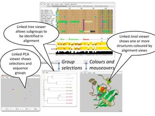 Protein and RNA alignment and analysis with Jalview 2.8.2 and JABA 2.1 ...