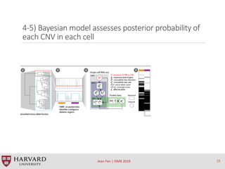 4-5) Bayesian model assesses posterior probability of
each CNV in each cell
Jean Fan | ISMB 2018 19
 