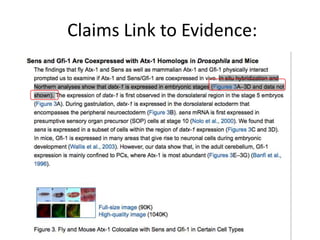 Claims Link to Evidence:
 