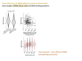 Rules and impact of nonsense-mediated mRNA decay in human cancers | PPTX