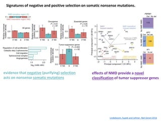 Rules and impact of nonsense-mediated mRNA decay in human cancers | PPTX