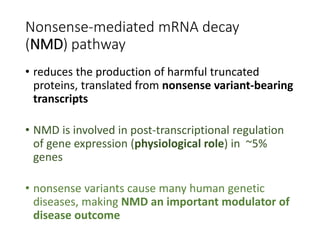 Rules and impact of nonsense-mediated mRNA decay in human cancers | PPTX