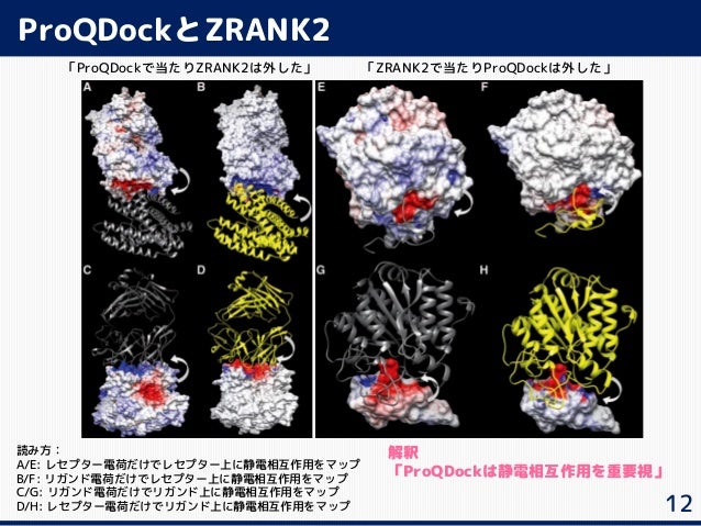 Finding Correct Protein Protein Docking Models Using Proqdock Ismb Finding Correct Protein Protein Docking Models Using Proqdock Ismb
