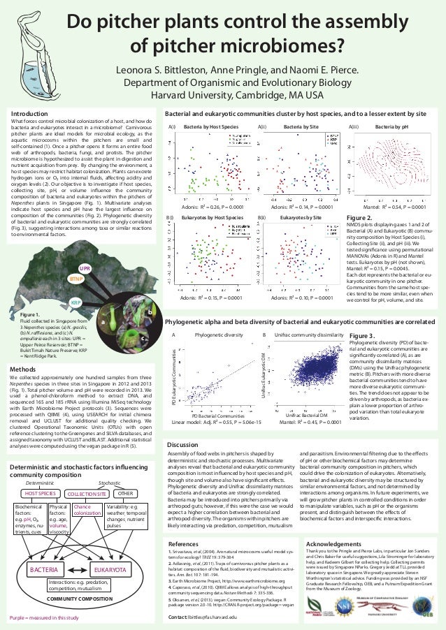 Do pitcher plants control the assembly of pitcher microbiomes?