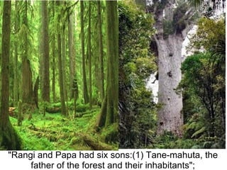 "Rangi and Papa had six sons:(1) Tane-mahuta, the 
     father of the forest and their inhabitants";
 