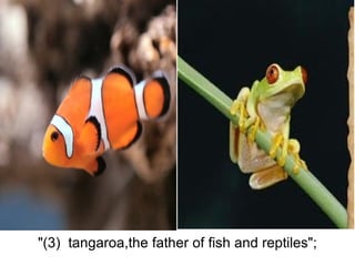 "(3)  tangaroa,the father of fish and reptiles";
 