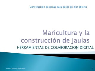 Construcción de jaulas para peces en mar abierto
HERRAMIENTAS DE COLABORACION DIGITAL
Ismenia Abarca y Jorge Coque 1
 