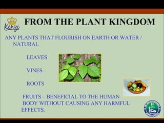 FROM THE PLANT KINGDOM ANY PLANTS THAT FLOURISH ON EARTH OR WATER / NATURAL LEAVES VINES ROOTS FRUITS – BENEFICIAL TO THE HUMAN BODY WITHOUT CAUSING ANY HARMFUL  EFFECTS. 