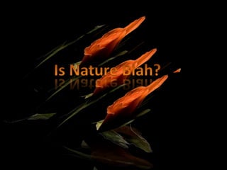 Is Nature Blah? 