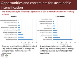 Role of herbivores in sustainable agriculture in sub-Saharan Africa