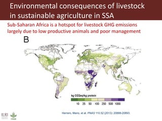 Role of herbivores in sustainable agriculture in sub-Saharan Africa
