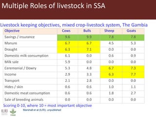 Role of herbivores in sustainable agriculture in sub-Saharan Africa