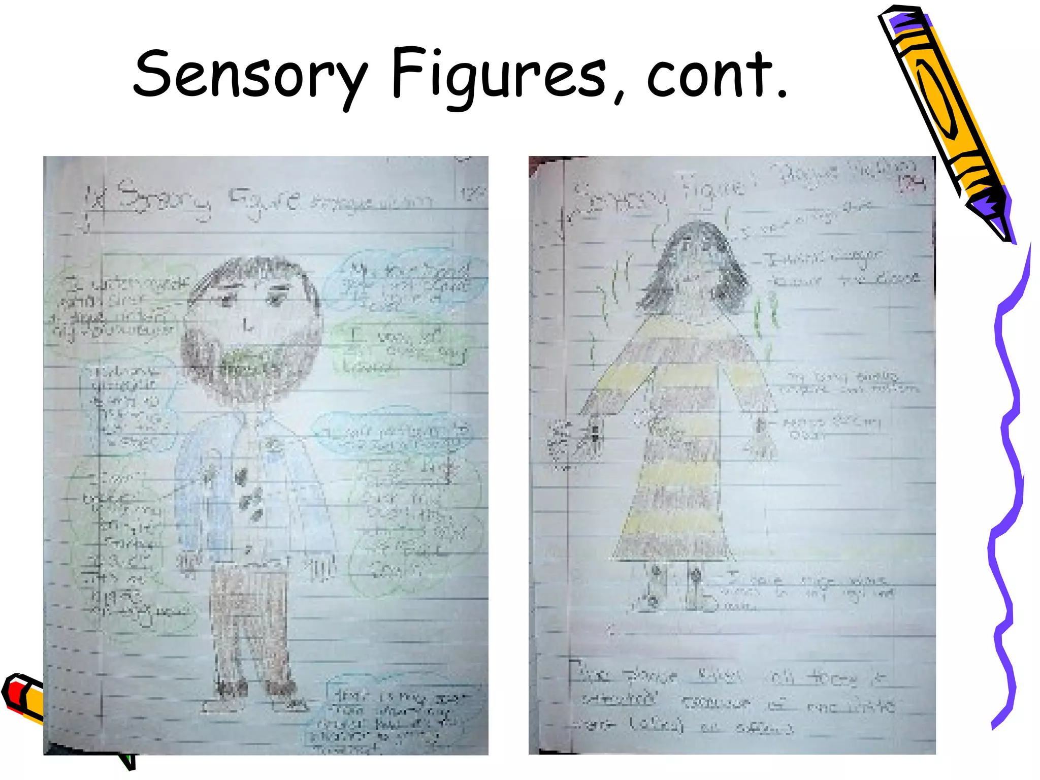 Sensory Figures, cont.
 