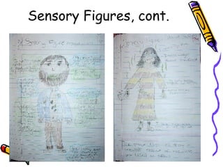 Sensory Figures, cont.
 