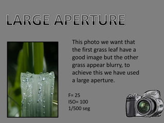 This photo we want that
 the first grass leaf have a
 good image but the other
 grass appear blurry, to
 achieve this we have used
 a large aperture.

F= 25
ISO= 100
1/500 seg
 