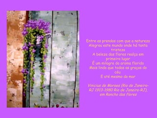 Entre as prendas com que a natureza Alegrou este mundo onde há tanta tristeza A beleza das flores realça em primeiro lugar É um milagre do aroma florido Mais lindo que todas as graças do céu  E até mesmo do mar Vinicius de Moraes (Rio de Janeiro-RJ 1913-1980 Rio de Janeiro-RJ), em Rancho das flores 