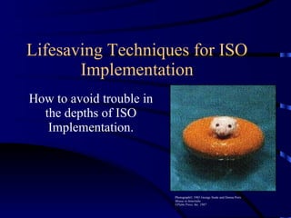 Lifesaving Techniques for ISO Implementation How to avoid trouble in the depths of ISO Implementation. Photograph© 1985 George Siede and Donna Preis Mouse in Innertube ©Palm Press, Inc. 1987 