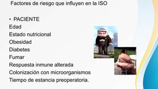 Factores de riesgo que influyen en la ISO
• PACIENTE
Edad
Estado nutricional
Obesidad
Diabetes
Fumar
Respuesta inmune alterada
Colonización con microorganismos
Tiempo de estancia preoperatoria.
 
