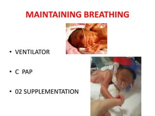 MAINTAINING BREATHING
• VENTILATOR
• C PAP
• 02 SUPPLEMENTATION
 