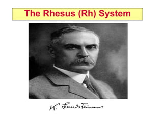The Rhesus (Rh) System
 