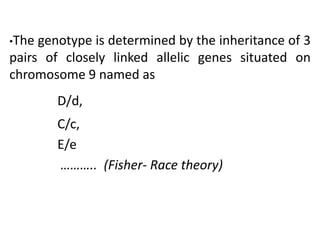 •The genotype is determined by the inheritance of 3
pairs of closely linked allelic genes situated on
chromosome 9 named as
D/d,
C/c,
E/e
……….. (Fisher- Race theory)
 
