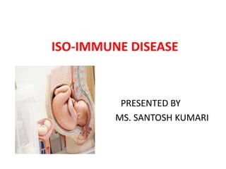 ISO-IMMUNE DISEASE
PRESENTED BY
MS. SANTOSH KUMARI
 