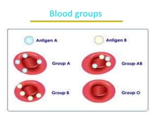 Blood groups
 