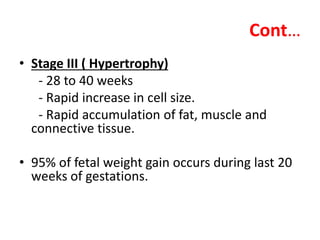Cont…
• Stage III ( Hypertrophy)
- 28 to 40 weeks
- Rapid increase in cell size.
- Rapid accumulation of fat, muscle and
connective tissue.
• 95% of fetal weight gain occurs during last 20
weeks of gestations.
 