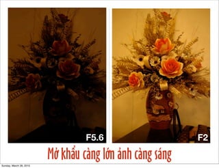 F5.6 F2 
Mở khẩu càng lớn ảnh càng sáng 
Sunday, March 28, 2010 
 