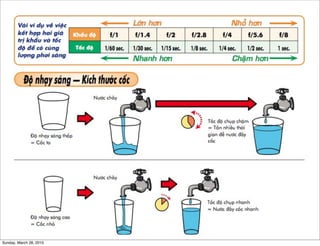 Sunday, March 28, 2010 
 
