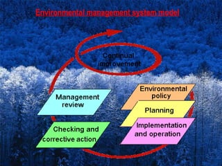 Environmental management system model
 