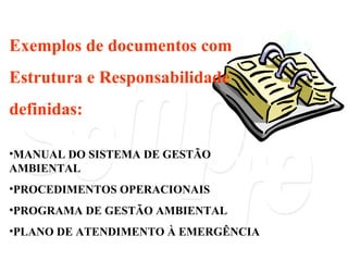 Exemplos de documentos com  Estrutura e Responsabilidade  definidas: MANUAL DO SISTEMA DE GESTÃO AMBIENTAL PROCEDIMENTOS OPERACIONAIS PROGRAMA DE GESTÃO AMBIENTAL PLANO DE ATENDIMENTO À EMERGÊNCIA 