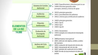 Iso 14001 seguridad