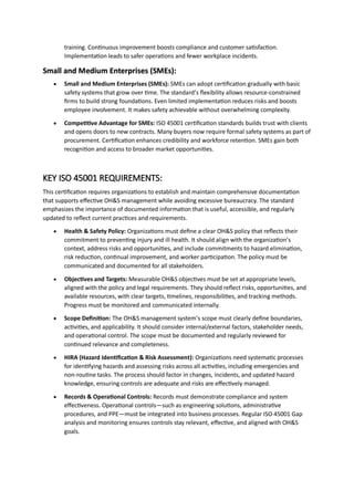 ISO 45001 Occupational Health and Safety Management System Guide | PDF