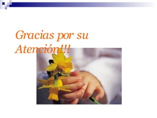 Gracias por su
Atención!!!
 