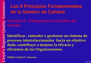 Principio 5 : Enfoque para la Gestión del Sistema Identificar , entender y gestionar un sistema de procesos interrelaccionados  hacia un objetivo dado, contribuye a mejorar la eficacia y eficiencia de las Organizaciones. EFQM, Criterio 5.- Procesos Los 8 Principios Fundamentales de la Gestión de Calidad S 2/19  