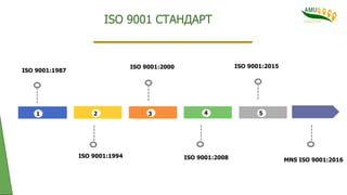 ISO 9001 intro.pdf