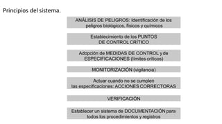 Principios del sistema.
ANÁLISIS DE PELIGROS: Identificación de los
peligros biológicos, físicos y químicos
Establecimiento de los PUNTOS
DE CONTROL CRÍTICO
Adopción de MEDIDAS DE CONTROL y de
ESPECIFICACIONES (límites críticos)
MONITORIZACIÓN (vigilancia)
Actuar cuando no se cumplen
las especificaciones: ACCIONES CORRECTORAS
VERIFICACIÓN
Establecer un sistema de DOCUMENTACIÓN para
todos los procedimientos y registros
 
