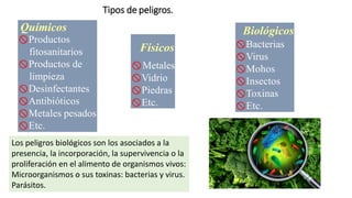 Tipos de peligros.
Físicos
Metales
Vidrio
Piedras
Etc.
Químicos
Productos
fitosanitarios
Productos de
limpieza
Desinfectantes
Antibióticos
Metales pesados
Etc.
Biológicos
Bacterias
Virus
Mohos
Insectos
Toxinas
Etc.
Los peligros biológicos son los asociados a la
presencia, la incorporación, la supervivencia o la
proliferación en el alimento de organismos vivos:
Microorganismos o sus toxinas: bacterias y virus.
Parásitos.
 