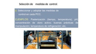 Selección de medidas de control.
 Seleccionar y adoptar las medidas de
control en cada PCC.
EJEMPLOS: Pasterización (tiempo, temperatura); pH;
concentración de cloro activo; buenas prácticas de
manipulación; temperatura de refrigeración; etc.
 