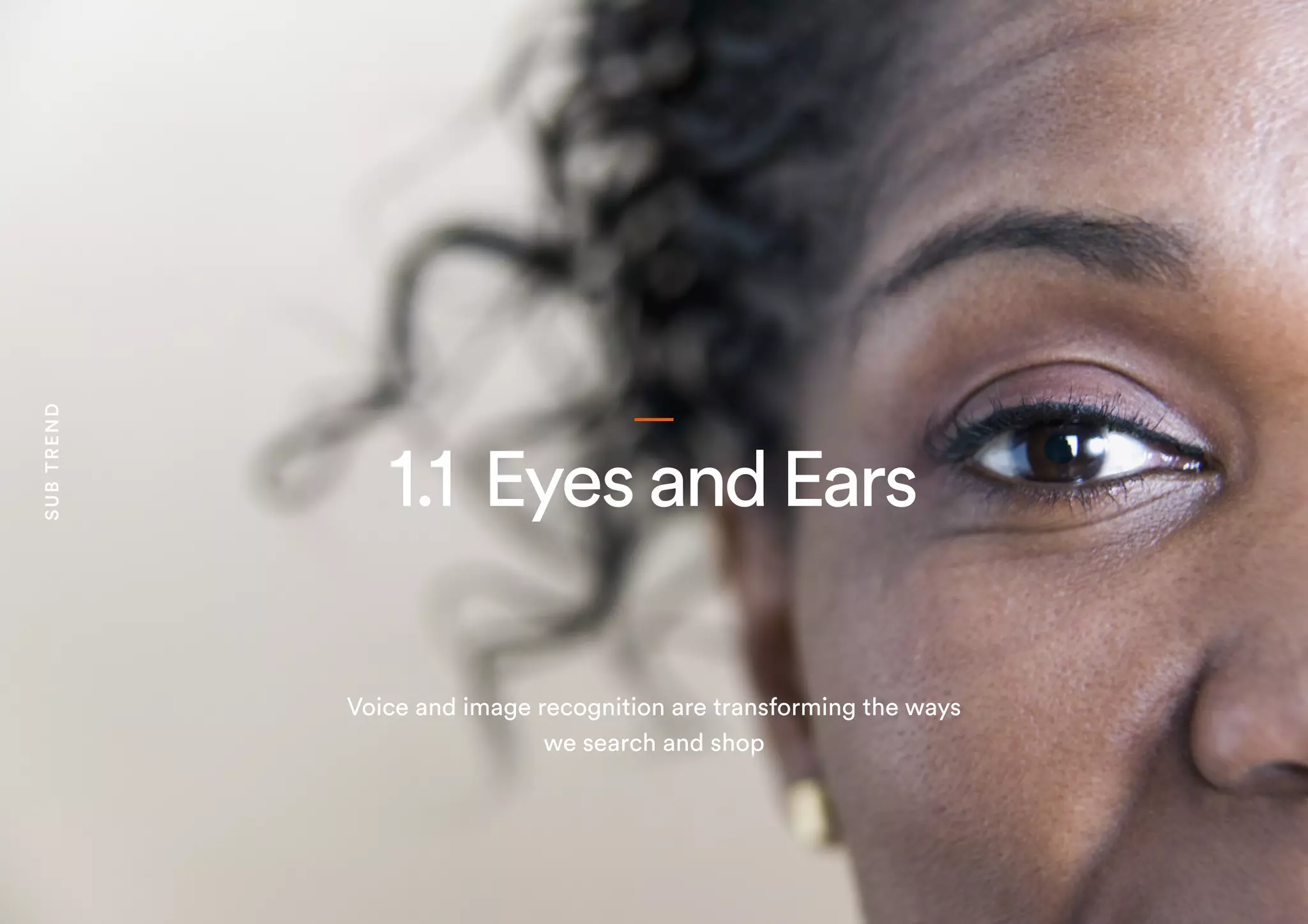 1.1 EyesandEars
Voice and image recognition are transforming the ways
we search and shop
SUBTREND
 