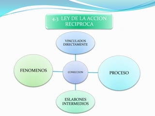 4.3 LEY DE LA ACCION
                 RECIPROCA


                 VINCULADOS
                DIRECTAMENTE




FENOMENOS         CONECCION        PROCESO




                ESLABONES
               INTERMEDIOS
 