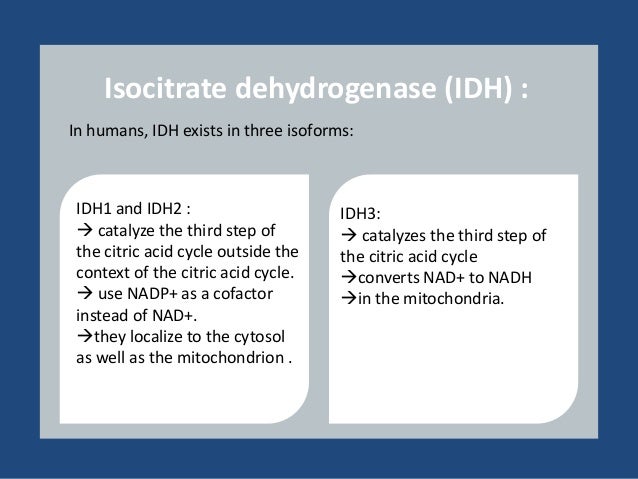isocitrate dehydrogenase isocitrate dehydrogenase
