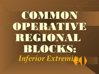 COMMON
OPERATIVE
REGIONAL
 BLOCKS:
Inferior Extremity
 
