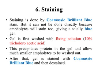 6. Staining
• Staining is done by Coamassie Brilliant Blue
stain. But it can not be done directly because
ampholytes will stain too, giving a totally blue
gel.
• Gel is first washed with fixing solution (10%
tricholoro acetic acid)
• This precipitates protein in the gel and allow
much smaller ampholytes to be washed out.
• After that, gel is stained with Coamassie
Brilliant Blue and then destained.
 