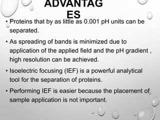 Isoelectric focusing | PPTX