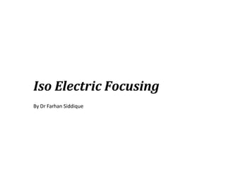 Iso Electric Focusing
By Dr Farhan Siddique
 