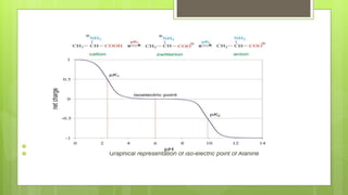 
 Graphical representation of iso-electric point of Alanine
 