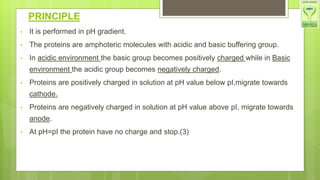 PRINCIPLE
• It is performed in pH gradient.
• The proteins are amphoteric molecules with acidic and basic buffering group.
• In acidic environment the basic group becomes positively charged while in Basic
environment the acidic group becomes negatively charged.
• Proteins are positively charged in solution at pH value below pI,migrate towards
cathode.
• Proteins are negatively charged in solution at pH value above pI, migrate towards
anode.
• At pH=pI the protein have no charge and stop.(3)
 